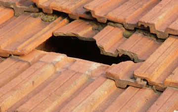 roof repair Chapel Green